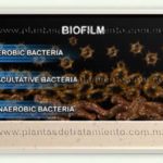 Biopelicula-fija-para-procesos-de-oxidacion-acelerada-en-plantas-para-reciclaje-de-aguas-residuales