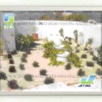 Planta-de-tratamiento-residencial-asa-jet-en-los-cabos